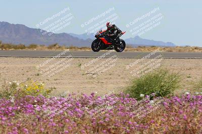 media/Mar-12-2023-SoCal Trackdays (Sun) [[d4c8249724]]/Turn 15 Inside Bloom (130pm)/